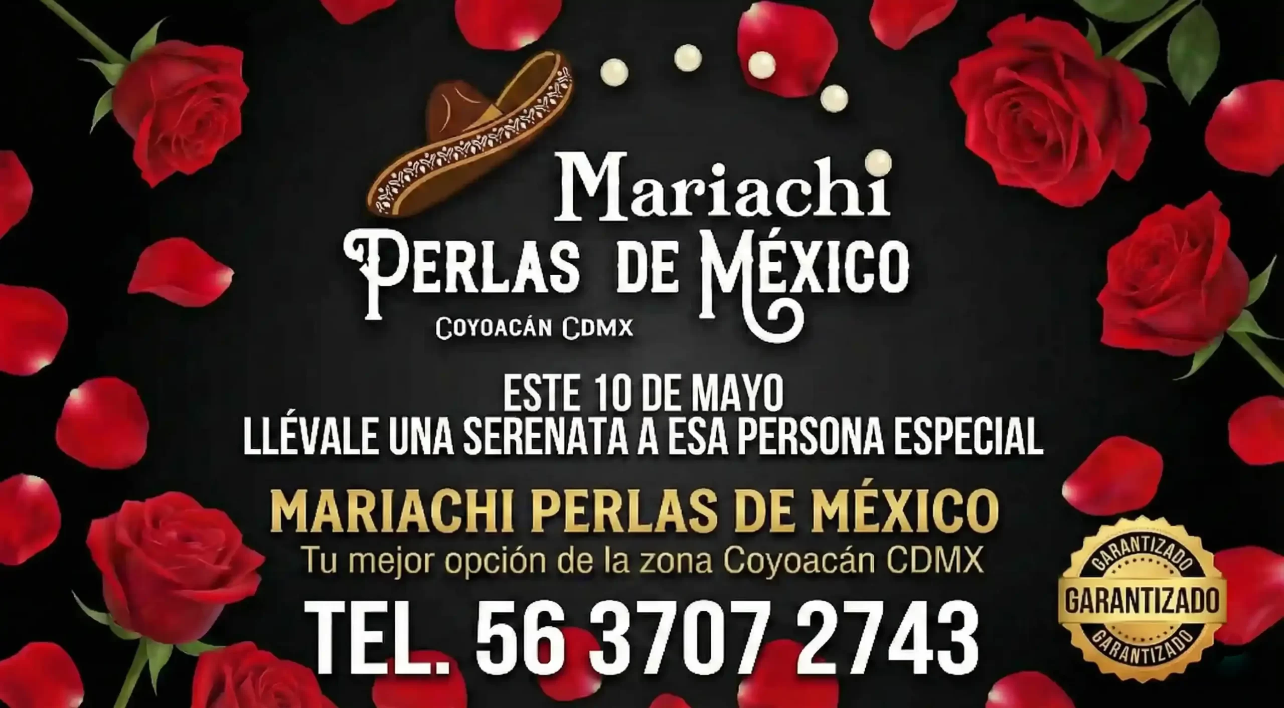 Serenatas económicas con Mariachi en Coyoacán 